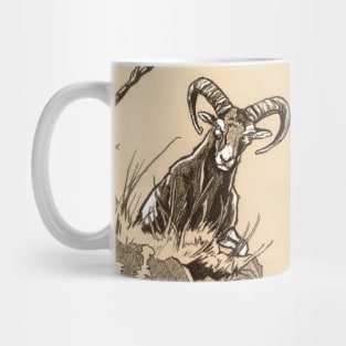 Mouflon drawing – Top attack Mug